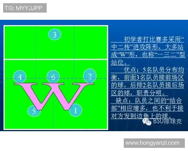 重庆网球队速度对比深度解析与战术优势探讨