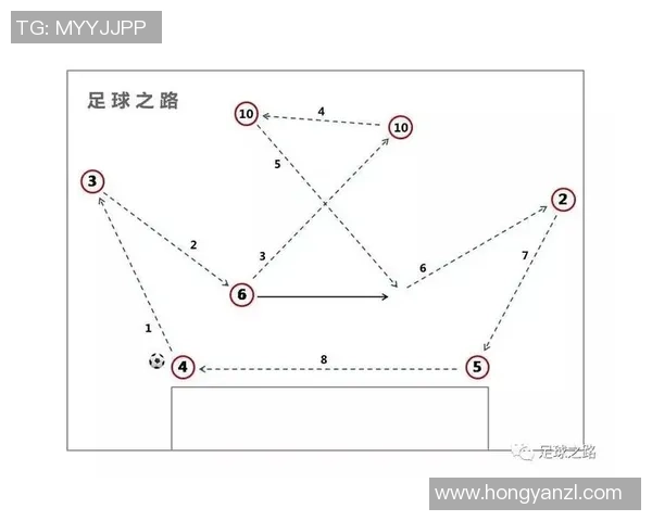 广州排球队盯防体系解析与战术运用探讨